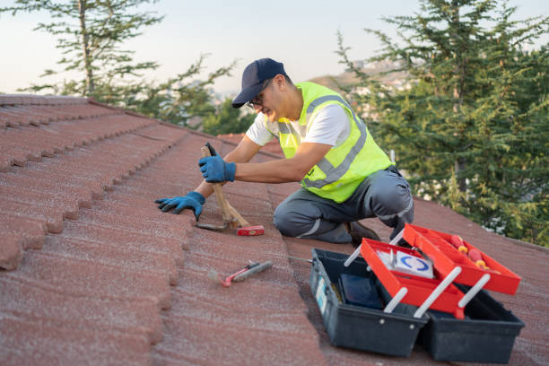 Roof Gutter Cleaning in Jersey Village, TX